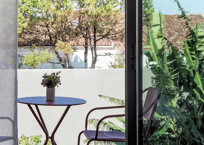 Azores Graca Garden Ponta Delgada (Sao Miguel)